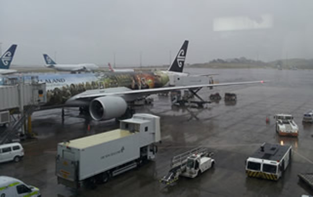 auckland solo travel